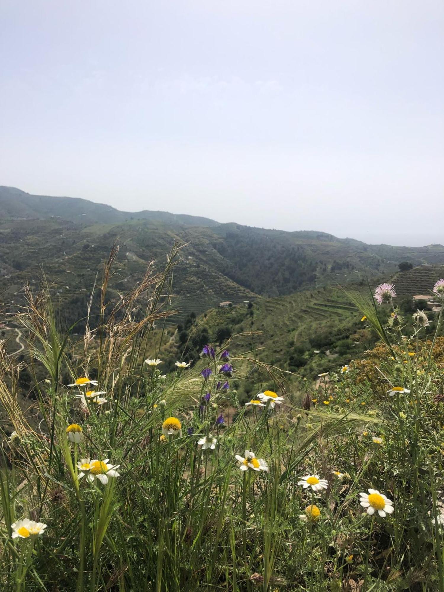 Cortijo El Abejaruco Almuñécar