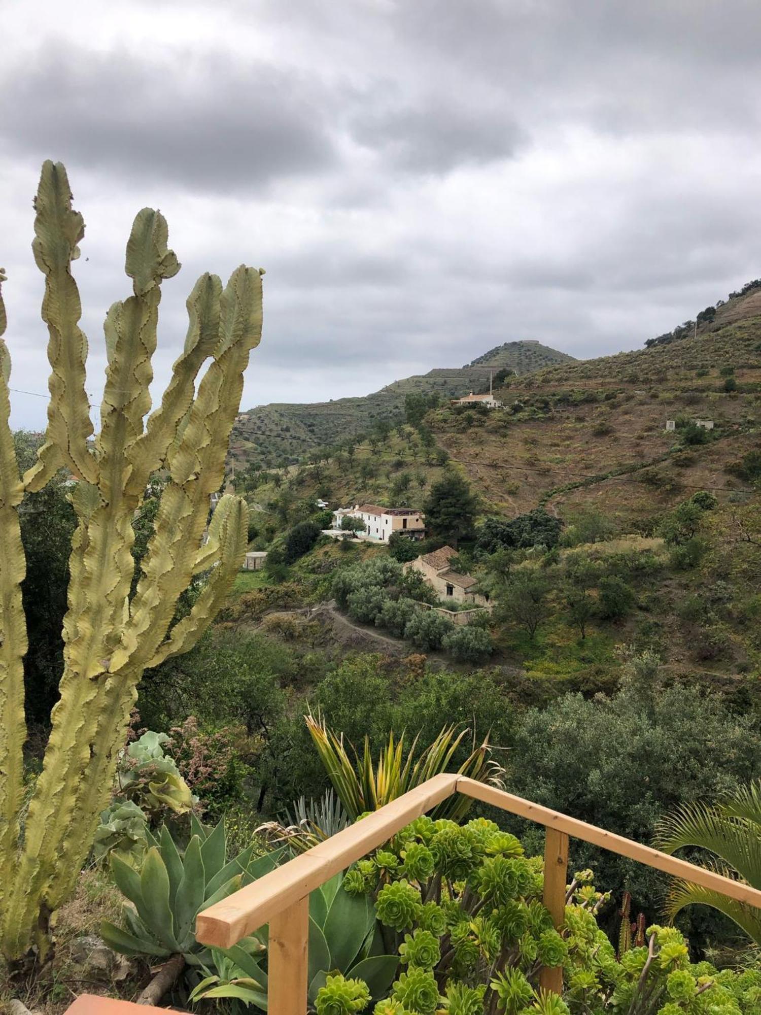 Сasa de vacaciones Cortijo El Abejaruco *