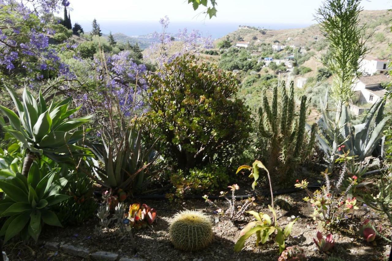 Cortijo El Abejaruco Сasa de vacaciones Almuñécar