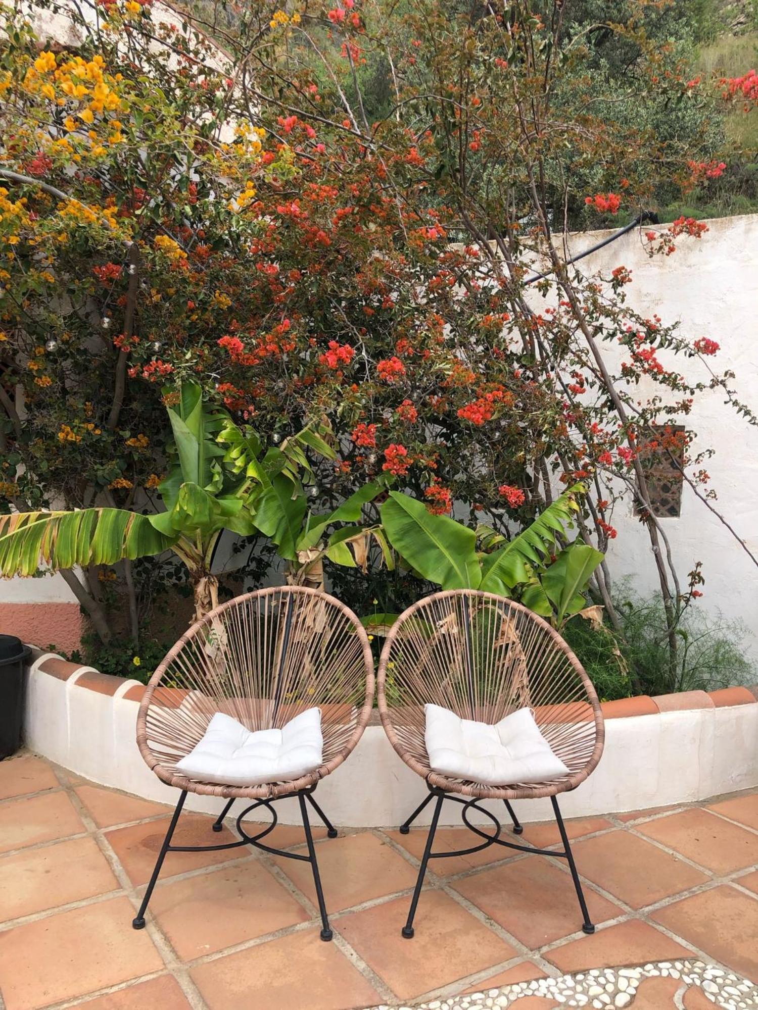 Cortijo El Abejaruco Holiday home